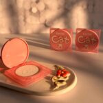 پودر فیکس فشرده